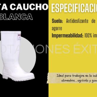 Calzado industrial