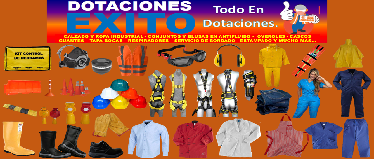 banner exito 2024